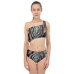 Succulent Green Pink Rosettes Spliced Up Two Piece Swimsuit