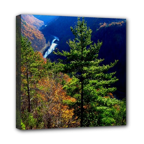 Pa Grand Canyon , South View Mini Canvas 8  x 8  (Stretched) from ArtsNow.com