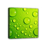 Green Water Drops Mini Canvas 4  x 4  (Stretched)