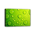 Mini Canvas 6  x 4  (Stretched) 