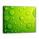 Green Water Drops Canvas 14  x 11  (Stretched)