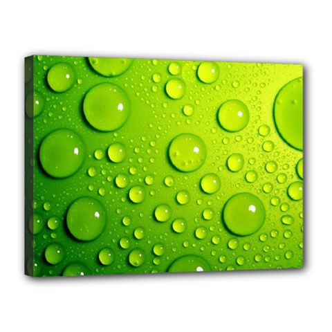 Green Water Drops Canvas 16  x 12  (Stretched) from ArtsNow.com