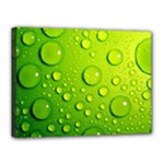 Green Water Drops Canvas 16  x 12  (Stretched)