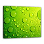 Green Water Drops Canvas 20  x 16  (Stretched)