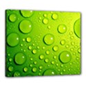 Canvas 24  x 20  (Stretched) 