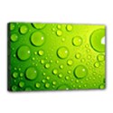 Canvas 18  x 12  (Stretched) 