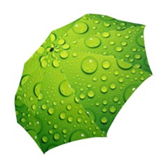 Folding Umbrella 