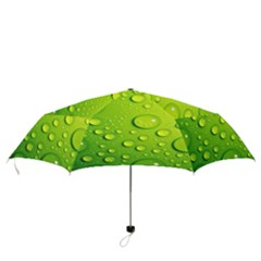 Folding Umbrella 