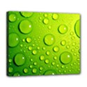 Deluxe Canvas 24  x 20  (Stretched) 