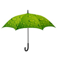 Hook Handle Umbrella (Medium) 