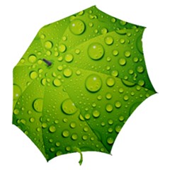 Hook Handle Umbrella (Large) 