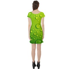 Short Sleeve Skater Dress Back Short Sleeve Skater Dress Back