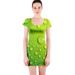 Short Sleeve Bodycon Dress Front Short Sleeve Bodycon Dress Front