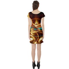 Short Sleeve Skater Dress Back Short Sleeve Skater Dress Back