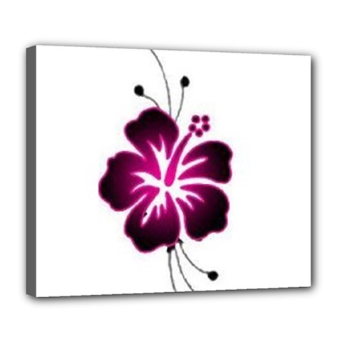 Pink Hawaiian Flower Deluxe Canvas 24  x 20  (Stretched) from ArtsNow.com