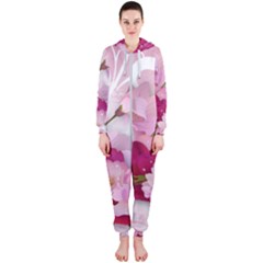 Hooded Jumpsuit (Ladies) 