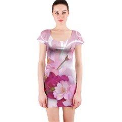 Short Sleeve Bodycon Dress Front Short Sleeve Bodycon Dress Front