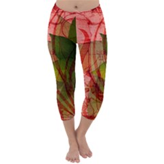 Capri Winter Leggings Front Capri Winter Leggings Front