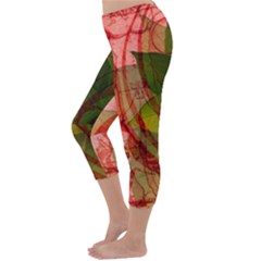 Capri Winter Leggings Back Capri Winter Leggings Back