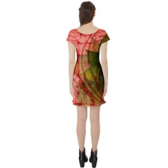 Short Sleeve Skater Dress Back Short Sleeve Skater Dress Back