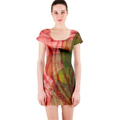 Short Sleeve Bodycon Dress Front Short Sleeve Bodycon Dress Front