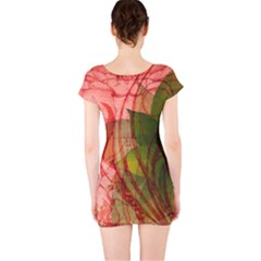 Short Sleeve Bodycon Dress Back Short Sleeve Bodycon Dress Back