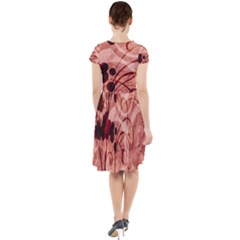 Cap Sleeve Midi Dress 