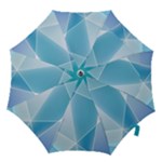 Blue Lights Hook Handle Umbrella (Small)