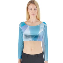 Long Sleeve Crop Top 