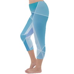 Capri Winter Leggings Back Capri Winter Leggings Back