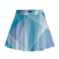 Mini Flare Skirt 