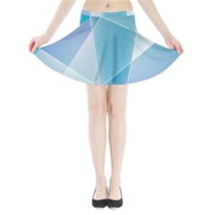 Mini Flare Skirt 