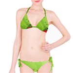 Red Heart Art Classic Bikini Set