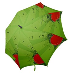 Hook Handle Umbrella (Medium) 