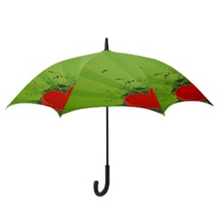 Hook Handle Umbrella (Medium) 