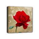 Mini Canvas 4  x 4  (Stretched) 