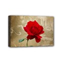 Mini Canvas 6  x 4  (Stretched) 