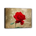 Mini Canvas 7  x 5  (Stretched) 