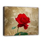 Red Rose Art Canvas 14  x 11  (Stretched)