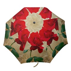 Folding Umbrella 