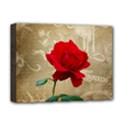 Deluxe Canvas 16  x 12  (Stretched)  