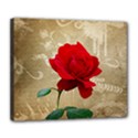 Deluxe Canvas 24  x 20  (Stretched) 
