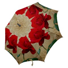 Hook Handle Umbrella (Large) 