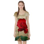 Red Rose Art Short Sleeve Skater Dress