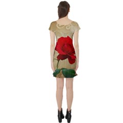 Short Sleeve Skater Dress Back Short Sleeve Skater Dress Back