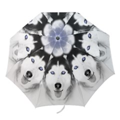 Folding Umbrella 