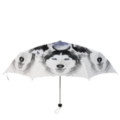 Folding Umbrella 