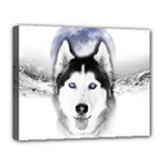 Wolf Moon Mountains Deluxe Canvas 20  x 16  (Stretched)