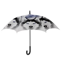 Hook Handle Umbrella (Small) 