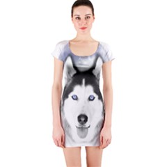 Short Sleeve Bodycon Dress Front Short Sleeve Bodycon Dress Front